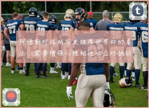 阿德勒对格纳布里缺席世界杯的看法：需要增强心理韧性以应对挑战