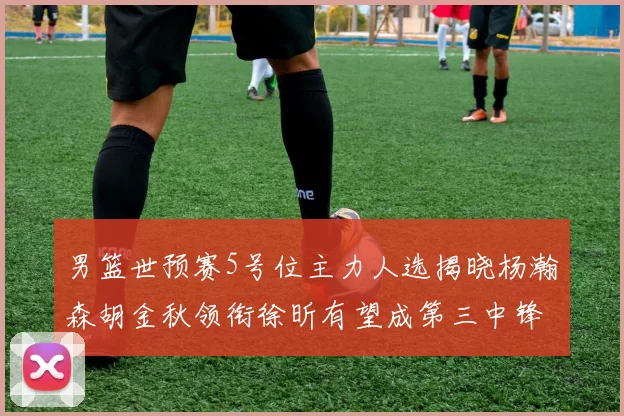 男篮世预赛5号位主力人选揭晓杨瀚森胡金秋领衔徐昕有望成第三中锋